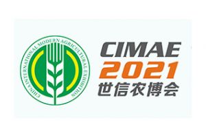 CIMAE 2021