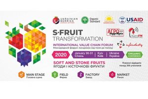 S-Fruit Transformation 2020 — синергия ягодного сектора