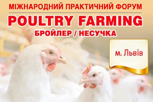 Poultry Farming. Бройлер/Несушка 2020