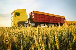 Транспортная логистика зерновых