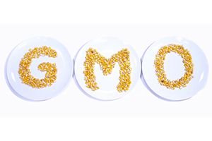 Вебинар: Определение ГМО