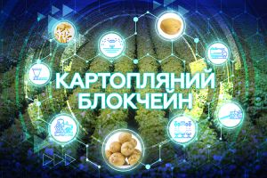 Всеукраинский день картофеля – Картофельный блокчейн 2021