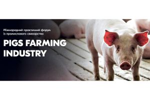 PIGS FARMING INDUSTRY