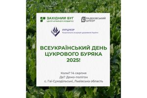 День поля Агропазли: День Цукрового Буряка