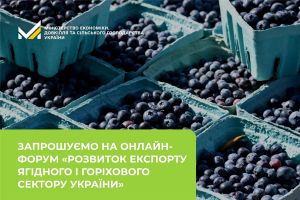 Розвиток експорту ягідного і горіхового сектору України
