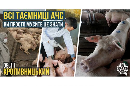 Все тайны АЧС