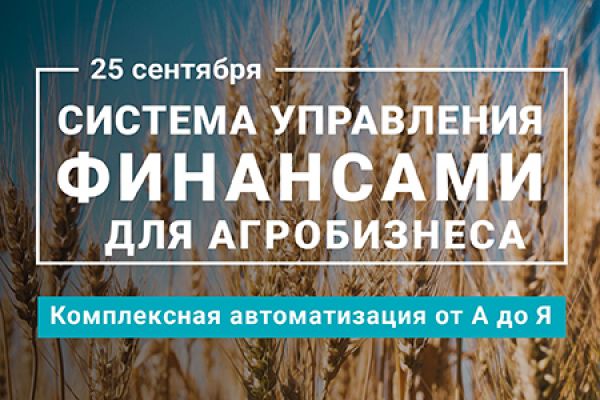 Как эффективно управлять финансами в агробизнесе