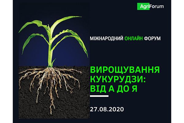 Выращивание кукурузы: успешные решения из американского опыта