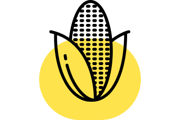 Аграрный Онлайн Консилиум. Кукуруза