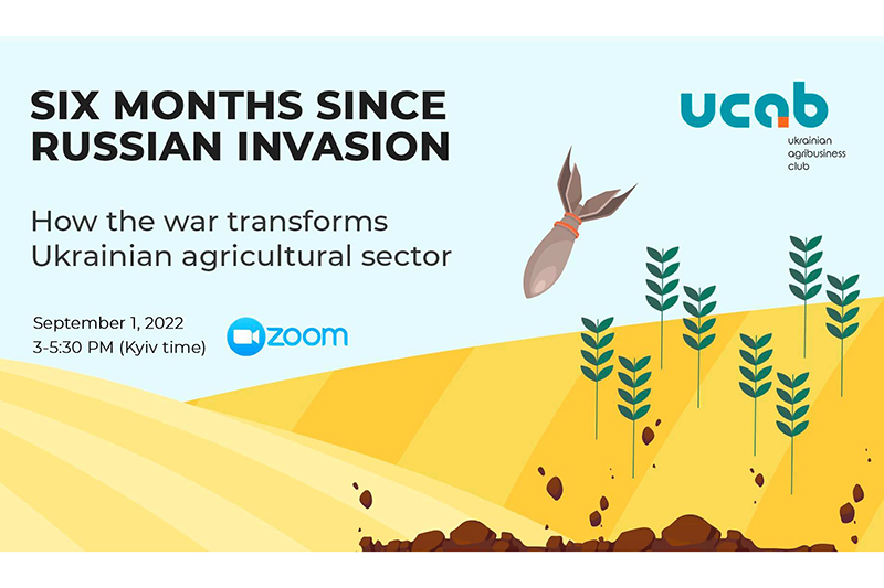 Six months since russian invasion: How the war transforms Ukrainian agricultural sector