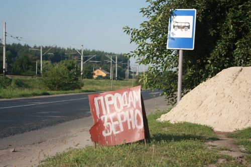 Продам зерно