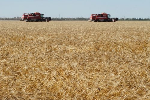 Уборочная кампания НИБУЛОН в разгаре Уборочная кампания НИБУЛОН в разгаре