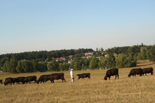 Прекрасные пейзажи