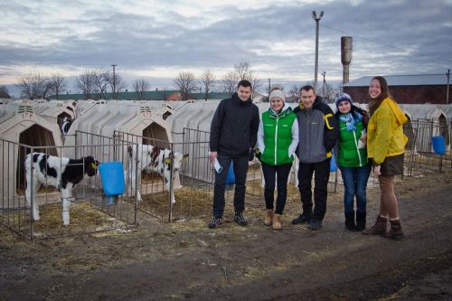 АгроЭкспедиторы в детском саду для телят теленок