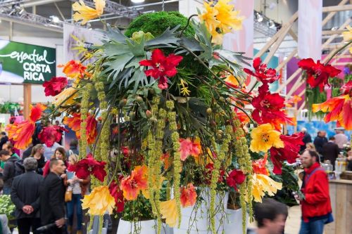 Международная выставка IPM 2016