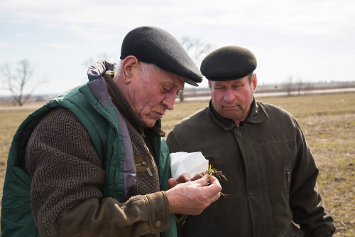 Начало работы экспертной группы HarvEast Харвист