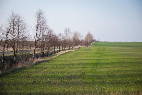АгроЭкспедиция Посевная 2016 на полях «Волынь-Зерно-Продукт» sowing