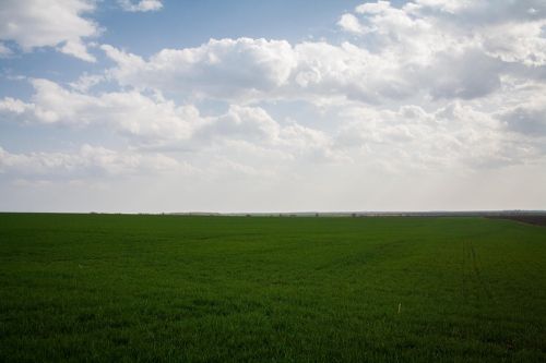 АгроЭкспедиция Посевная 2016 на полях «Захид агропродукт» sowing