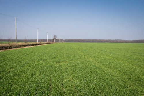 АгроЭкспедиция Посевная 2016 на полях «Заря Подолья» sowing