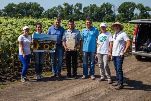АгроЭкспедиция Подсолнечник 2016. День 3 Подсолнечник