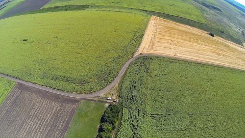 Вид сверху лучше: поля подсолнечника Подсолнечник