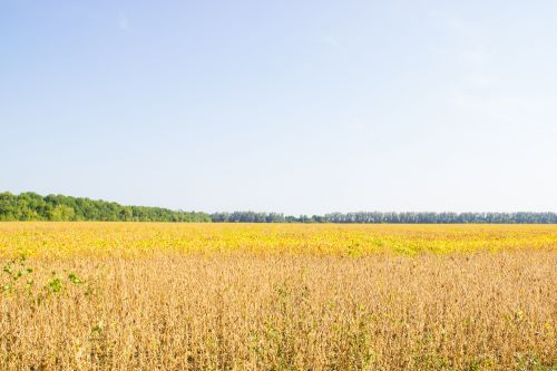 АгроЭкспедиция Соя День 1 АгроЭкспедиция