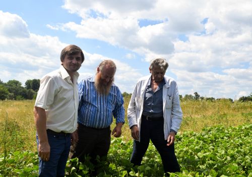 «Органический» День поля