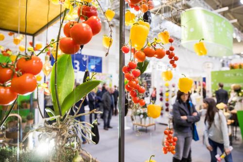 Международная выставка IPM 2017 Международная выставка IPM 2017