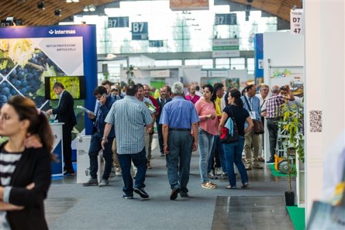 Выставка MacFrut 2016 Выставка MacFrut 2016