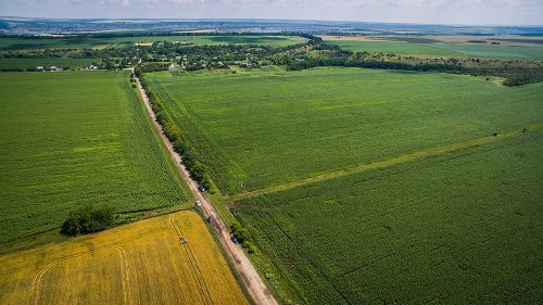 Утором второго дня АгроЭкспоМобиль направился в поля филиала компании «НИБУЛОН» под мечтательным названием «Мрия» АЭ Пшеница 2017. День 2