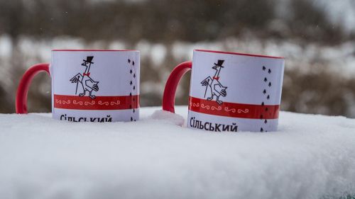 Сельский ревизор в Великой Фосне
