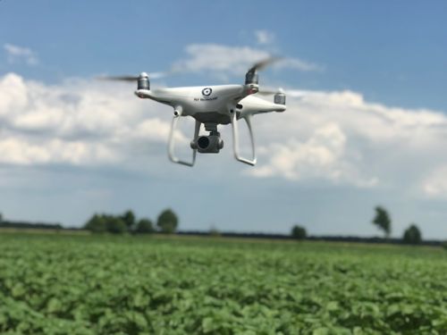 Для мониторинга используем квадрокоптер Phantom 4 PRO (компания Fly Technology) Для мониторинга используем квадрокоптер Phantom 4 PRO (компания Fly Technology)