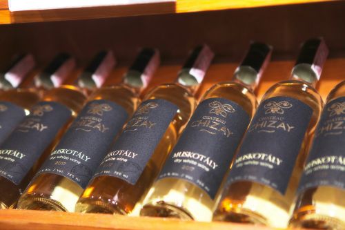 Экскурсия по винодельне «Шато Чизай» Экскурсия по винодельне «Шато Чизай»
