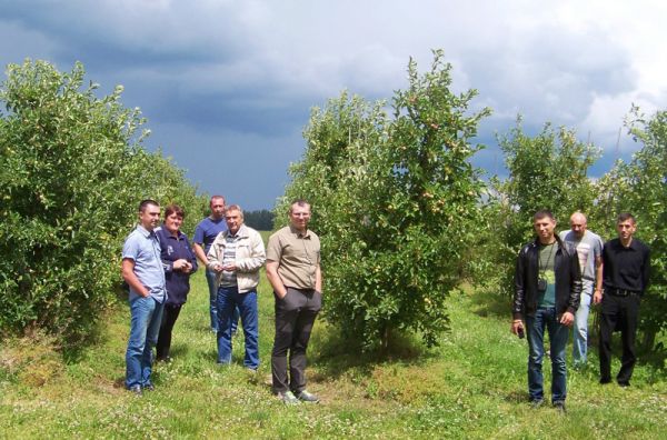 Осмотр яблоневого сада в агрофирме «Зоря» в Ровенской области