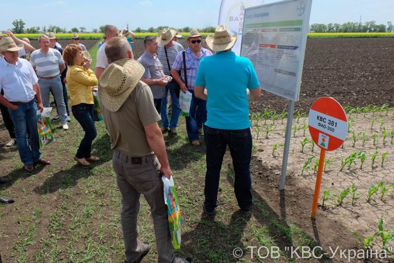 Сотрудник компании «Байер» Роман Вусатый рассказал о технологии защиты растений от «Байер»