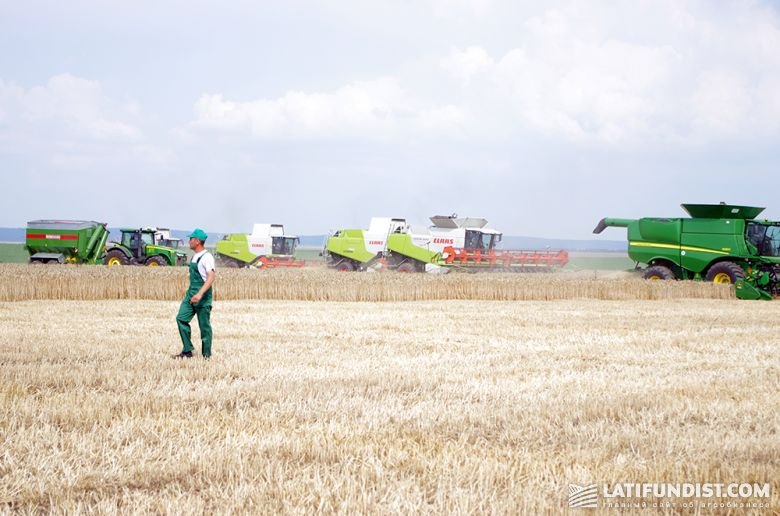 Самый масштабный в Украине сбор урожая в разгаре