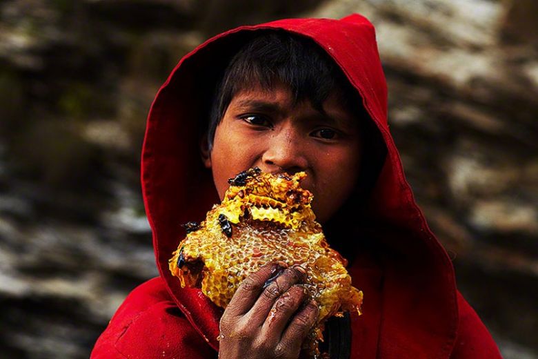 Мальчик из ближайшей деревни лакомится кусочком свежесрезанной медовой соты, которая упала на землю