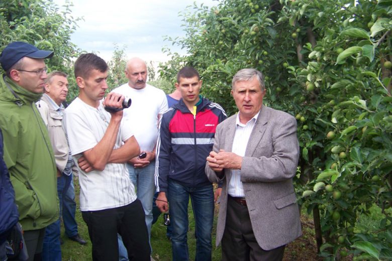 Януш Габрисяк объясняет особенности прореживания завязи яблони