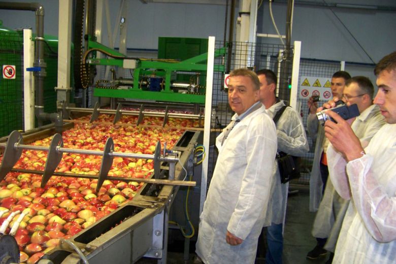Директор ЧСП «Майбородовское» Владимир Карпенко — в кооперативе Stryjno Sad сортируют последнюю в этом сезоне партию яблок