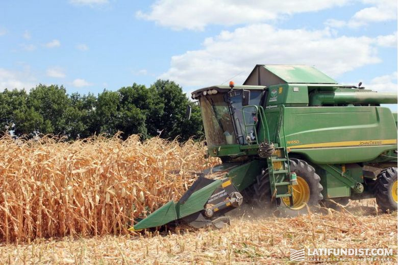 Ожидаемый урожай кукурузы не оправдался из-за того, что с каждым годом погодные условия становятся все более непредсказуемыми