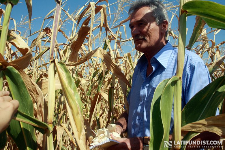 Черкасский политик и по совместительству руководитель фермерского хозяйства «Стукаливское» Николай Булатецкий обещает закрепить законное право «выращивать кукурузу»