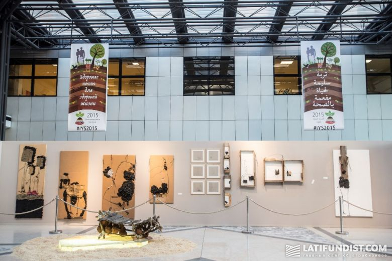 «Земельная» выставка в штаб-квартире ФАО