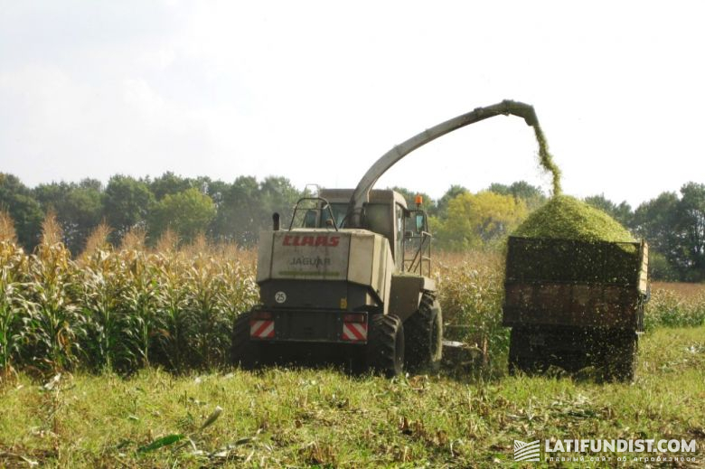 Зерноуборочные комбайны Claas Jaguar собирают кукурузу
