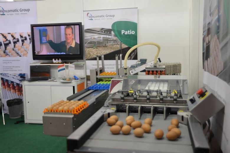 Современная технология сортировки яиц