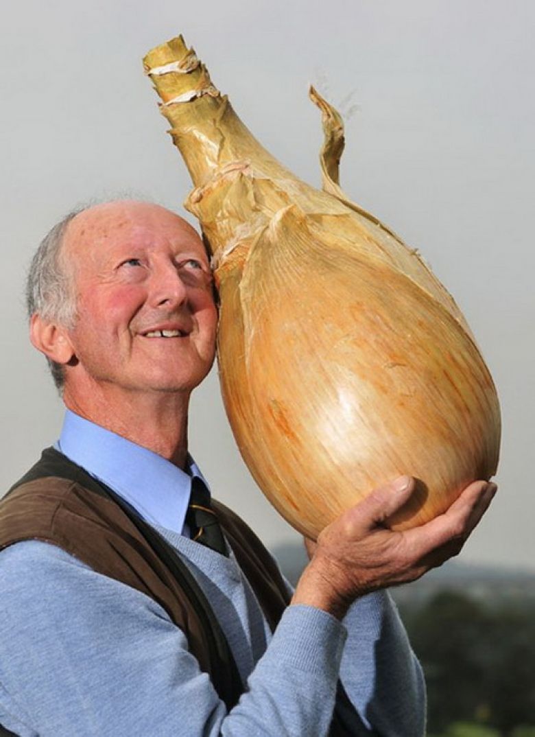 Садовод Питер Глейзбрук демонстрирует луковицу весом около 8 кг
