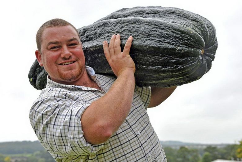 Британец Джо Атертон выиграл на садоводческой ярмарке в Йоркшире конкурс на самый крупный кабачок 44 кг