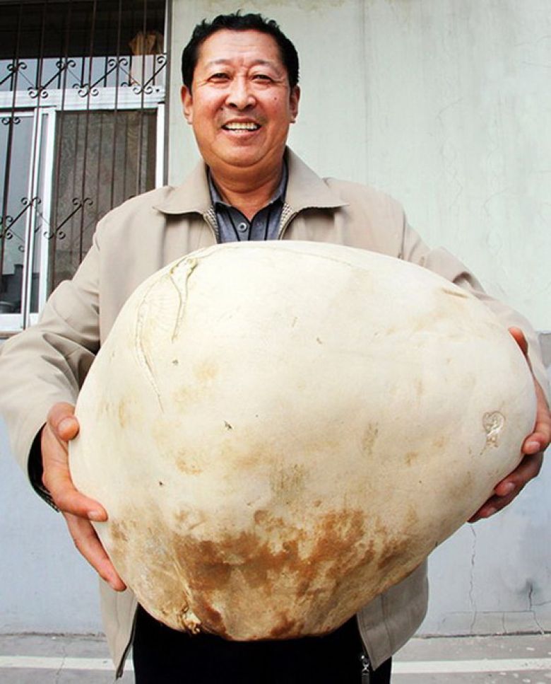 Житель китайского Юйлиня по имени Янь Хуа раздобыл гриб весом 4,5 кг