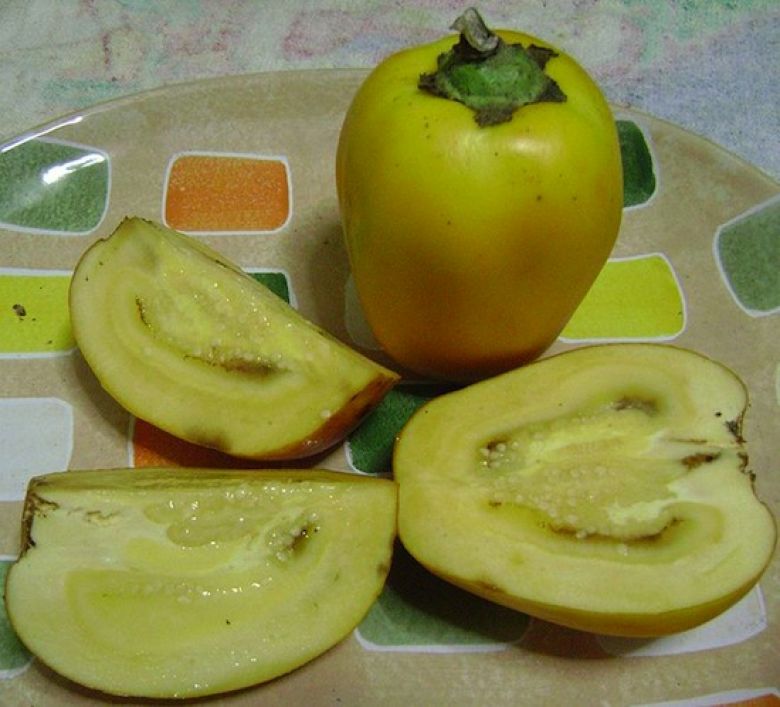 Кокона — это еще один тропический фрукт, который можно найти в горных районах Южной Америки. На вкус представляет собой нечто среднее между помидором и лимоном.