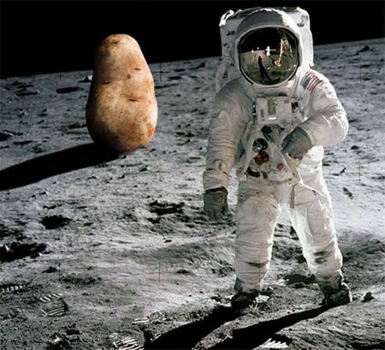 В октябре 1995 года картофель стал первым овощем, выращенным в космосе.