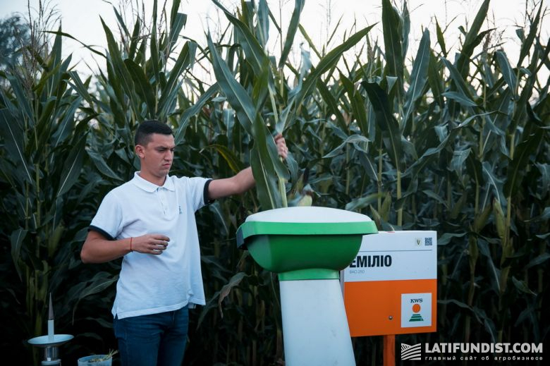 Дмитрий Ванжула, технолог по агрономии компании «КВС-УКРАИНА» демонстрирует работу устройства для измельчения кукурузы